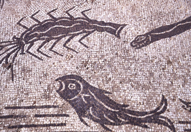 Mosaïque romaine, Créatures marines