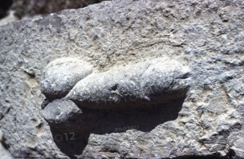 Symbole phallique, à Volubilis