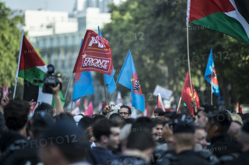 Manifestation pro palestine à Paris