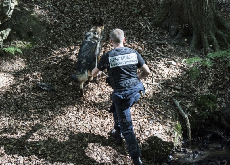 French gendarmerie, 2016