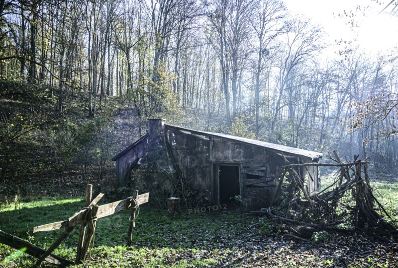 Cabane abandonnée