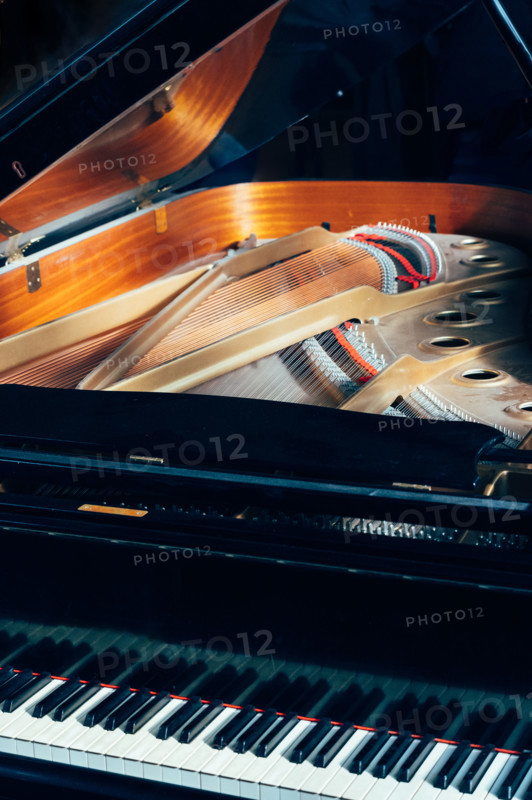 Inside a grand piano