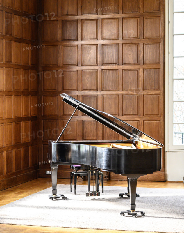 Grand piano