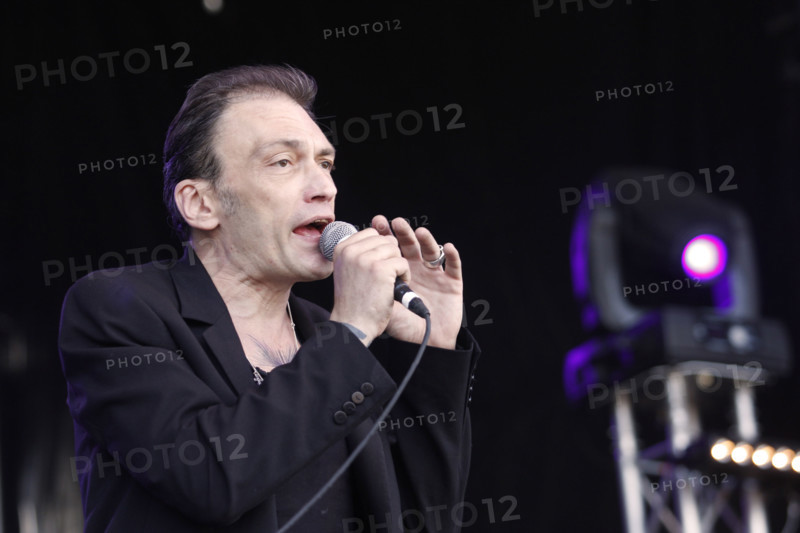 Daniel Darc, 2008