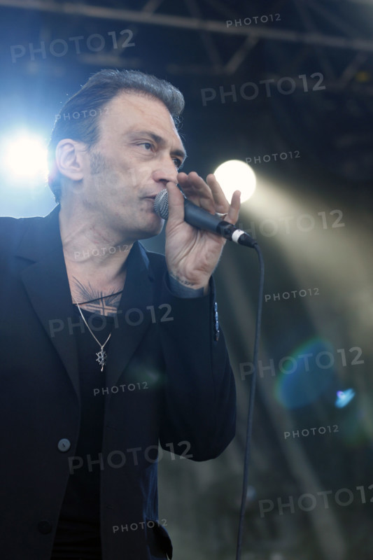 Daniel Darc, 2008