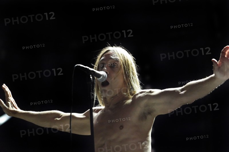 Iggy Pop, 2007