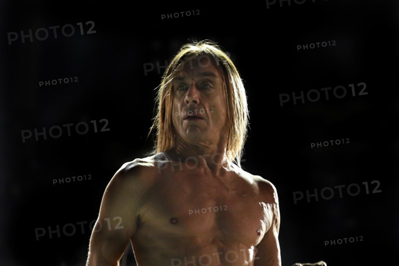 Iggy Pop, 2007