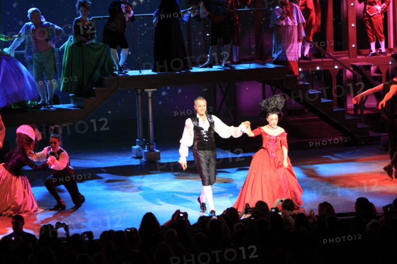 Mozart l'Opéra Rock, 2009