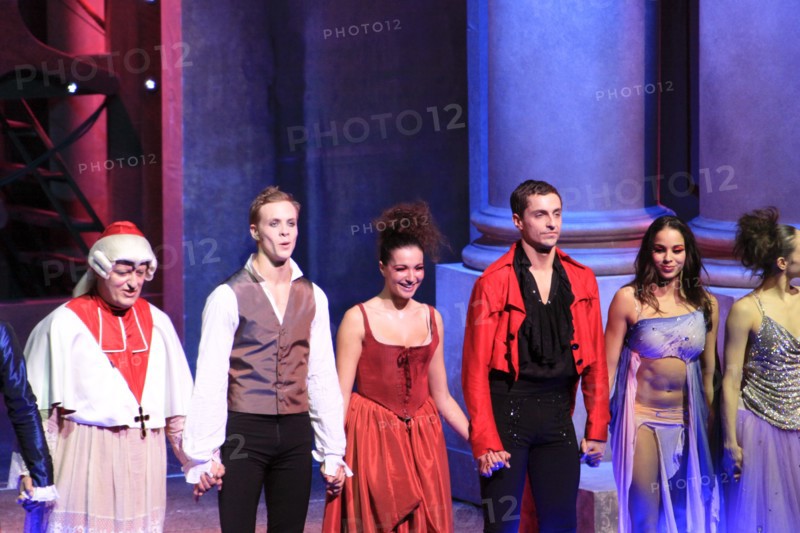 Mozart l'Opéra Rock, 2009