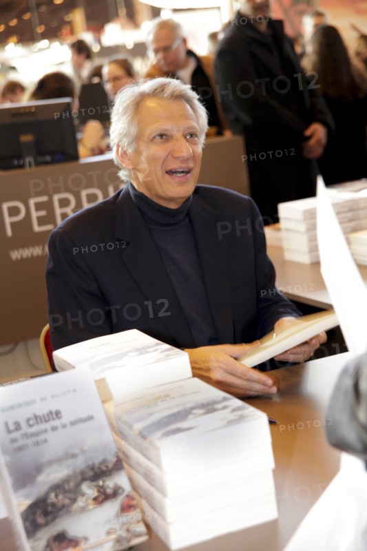 Dominique de Villepin, 2010
