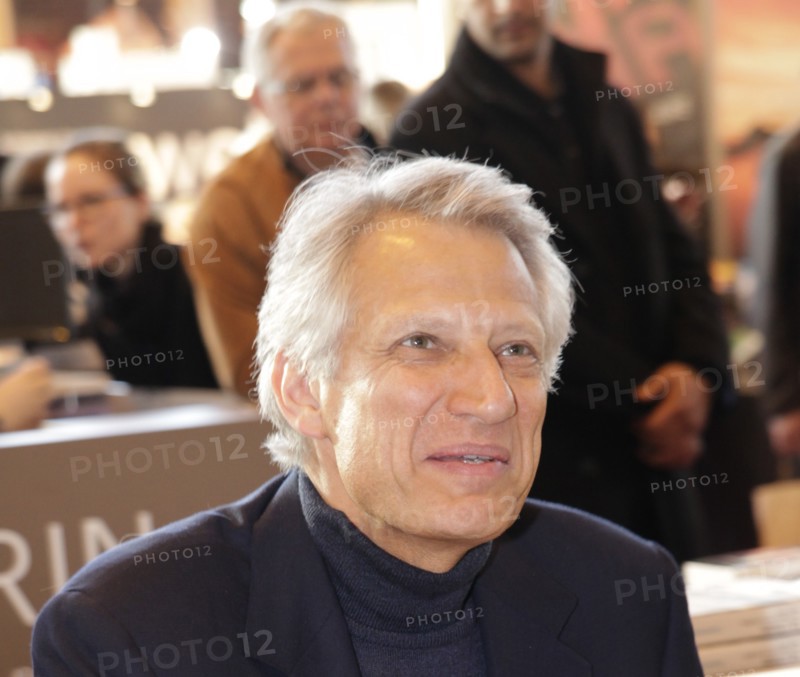 Dominique de Villepin, 2010