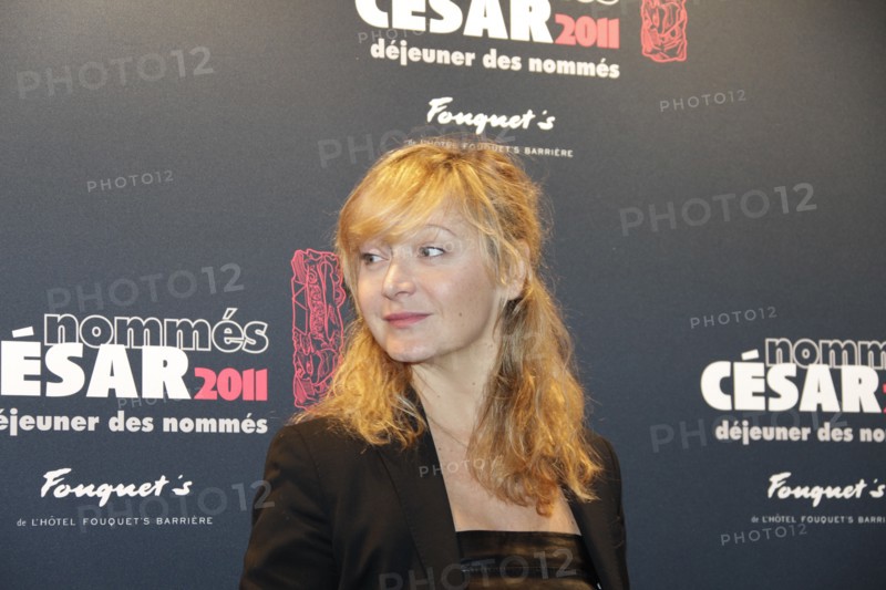 Julie Ferrier, 2011