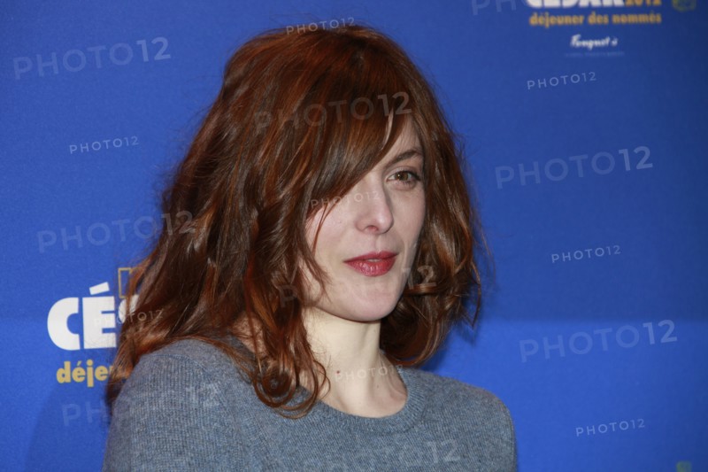 Valérie Donzelli, 2012