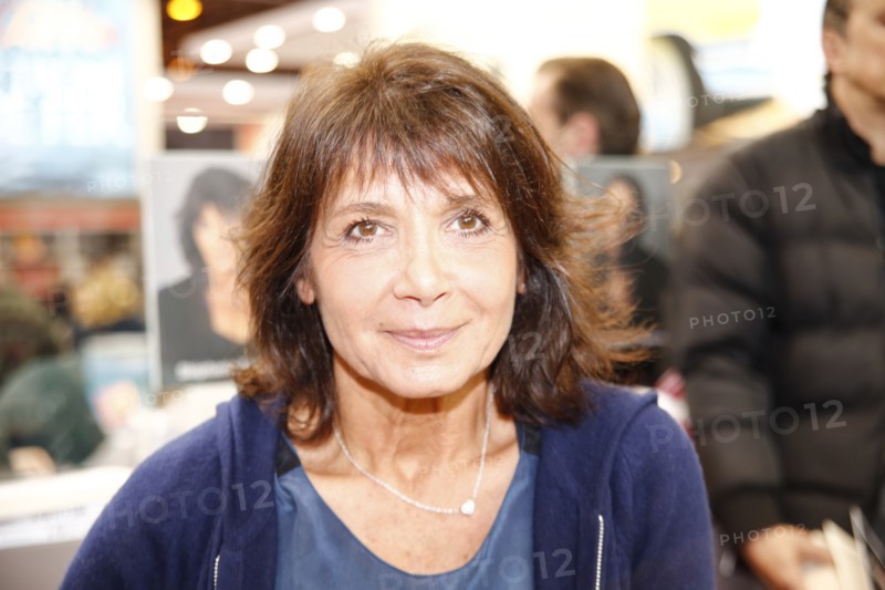 Stéphanie Fugain, 2013