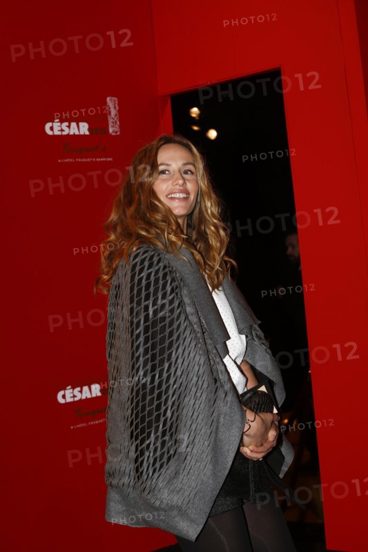 Cécile de France, 2015