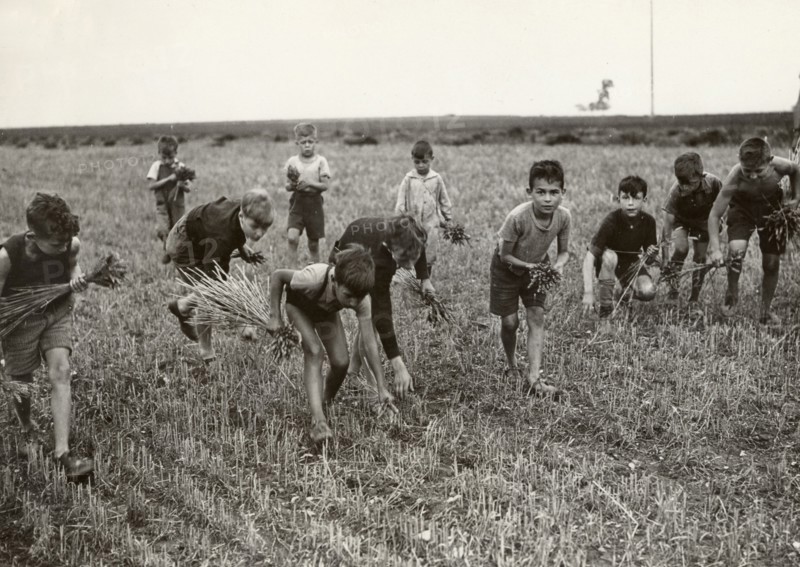 Petits glaneurs