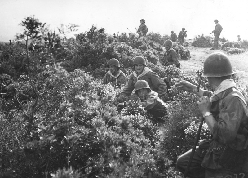 Military operations during the war in Algeria (1956)