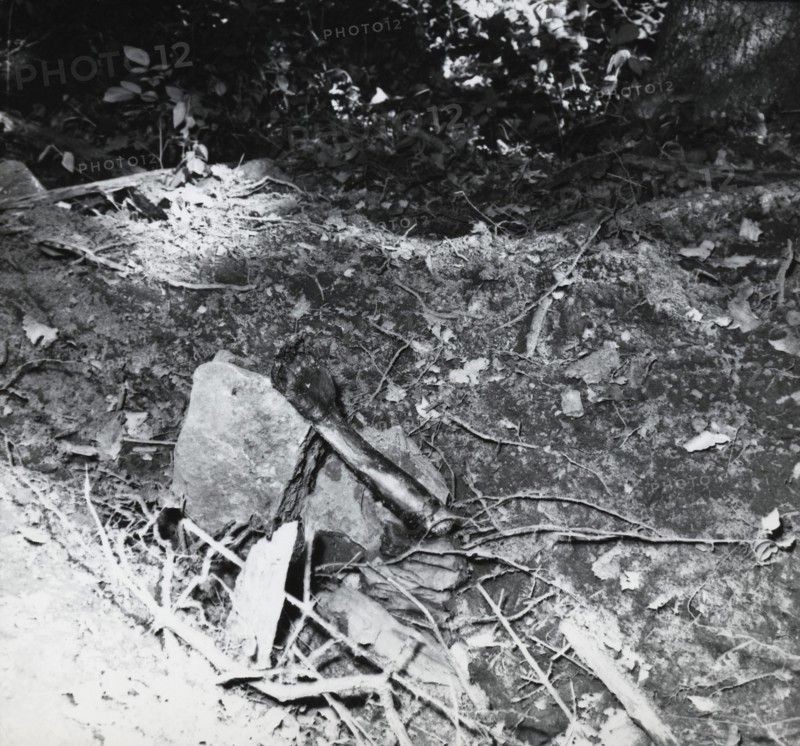 Atrocities during the War in Algeria