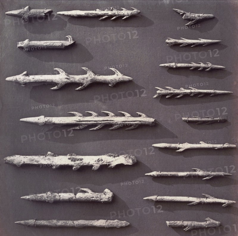 Harpoon tips, British Museum