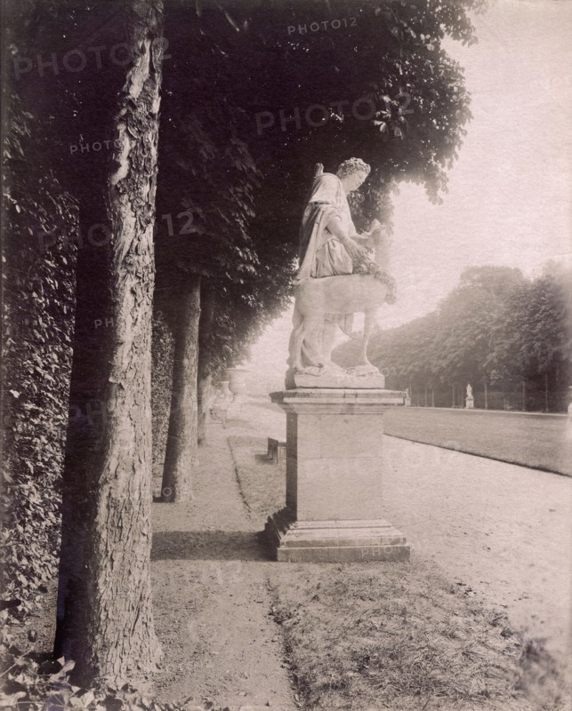 Atget, Statue de l'allée du tapis vert à Versailles
