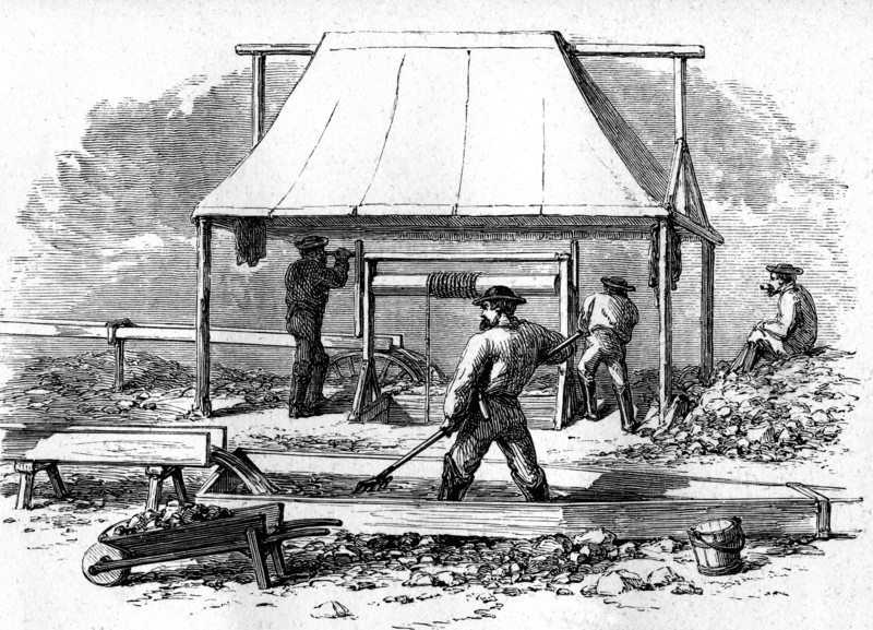 Extraction et lavage de l'orn 1866
