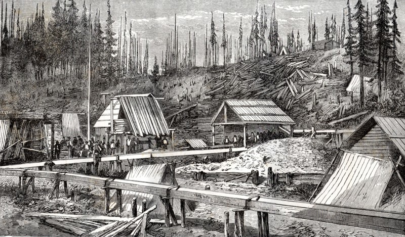 Gisement d'or de Cameron au Canada, 1866