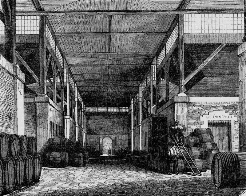 Cellar of the covered wine market in Paris, 1882