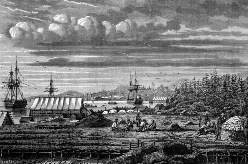 Preparing cod-fish, Red Cape bay, 1863