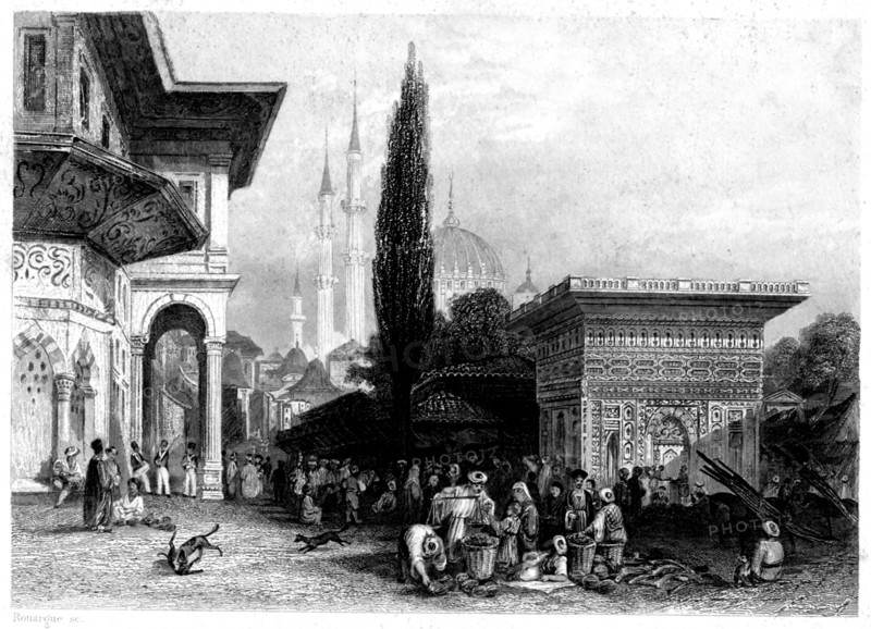 Constantinople in the 19th Century