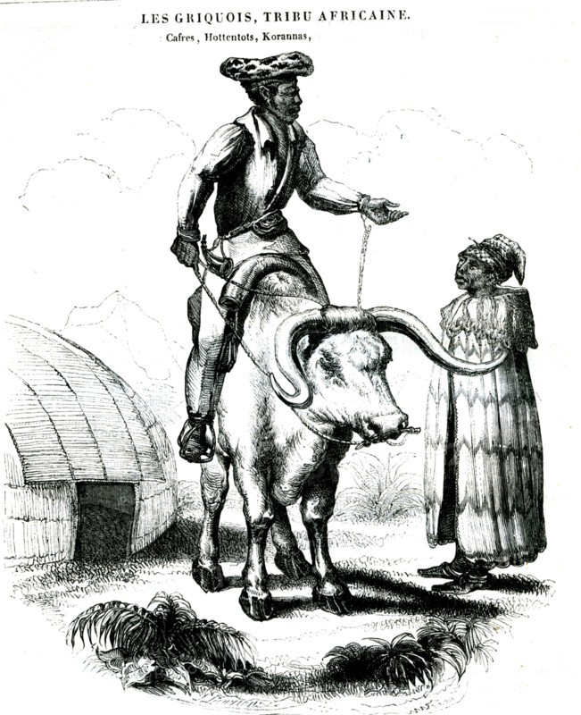 Hottentots d'Afrique