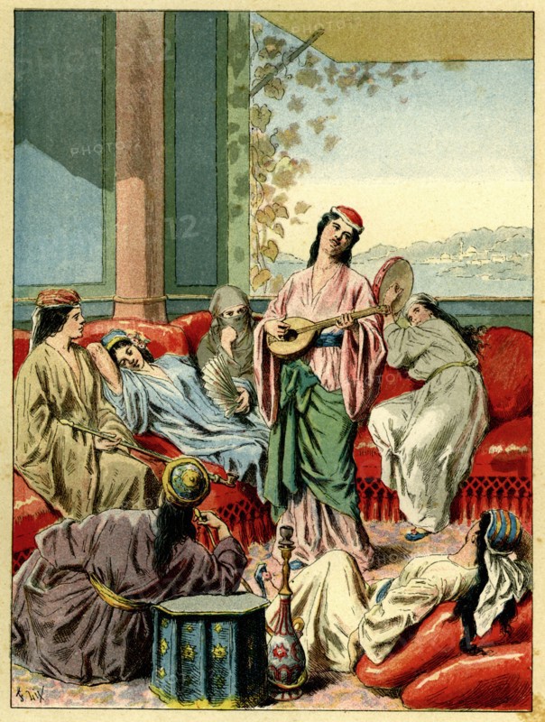 The harem - 19th century