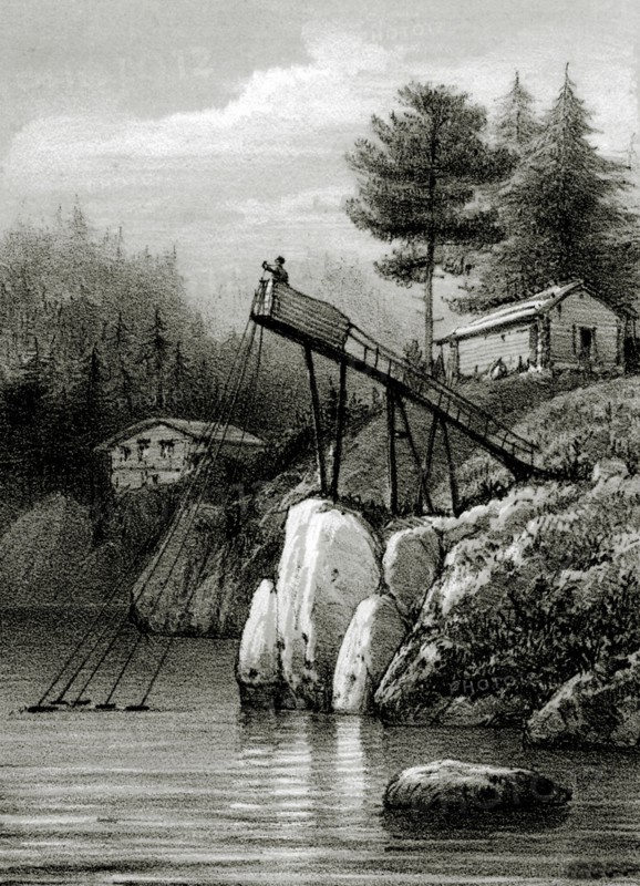 Salmon fishery - Norway