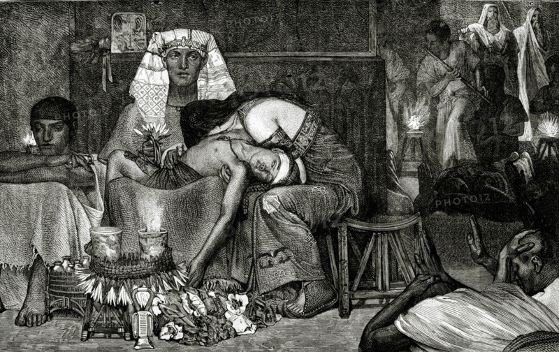 "La mort du fils, nouveau-né, du Pharaon"