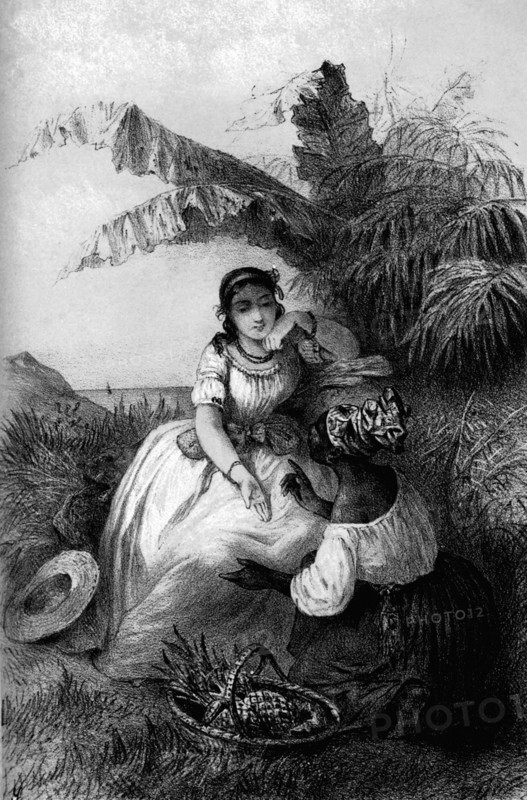 Joséphine de Beauharnais - Vous serez Reine de France