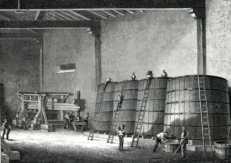 CLOS VOUGEOT, cellier et pressoir bourguignon en 1876