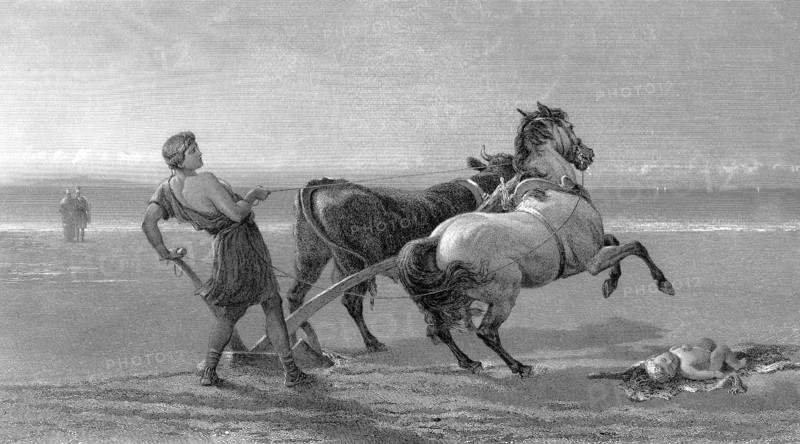 ULYSSE laboureur