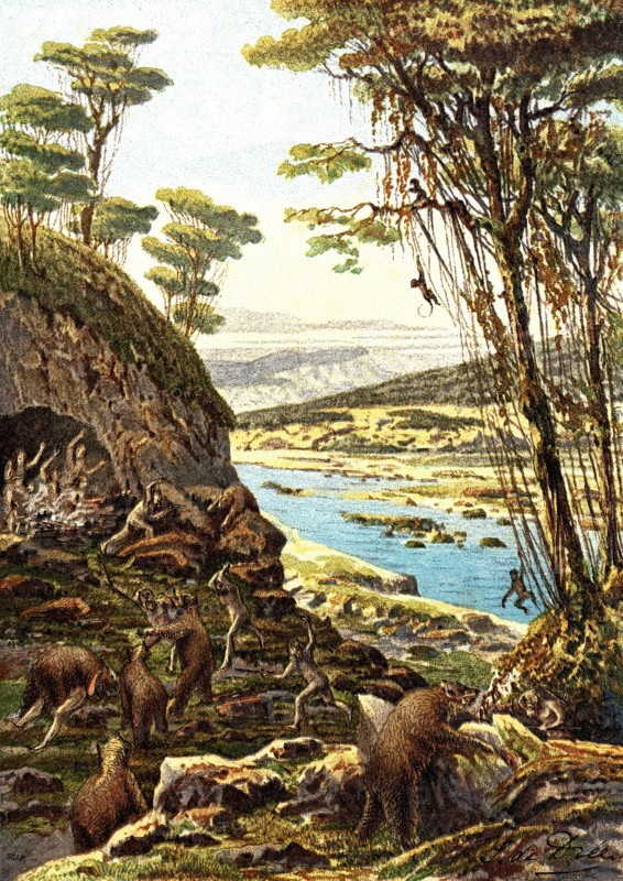 Ours des cavernes, Préhistoire