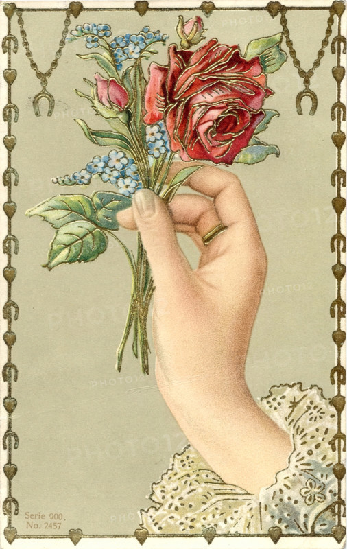Vintage Postcard