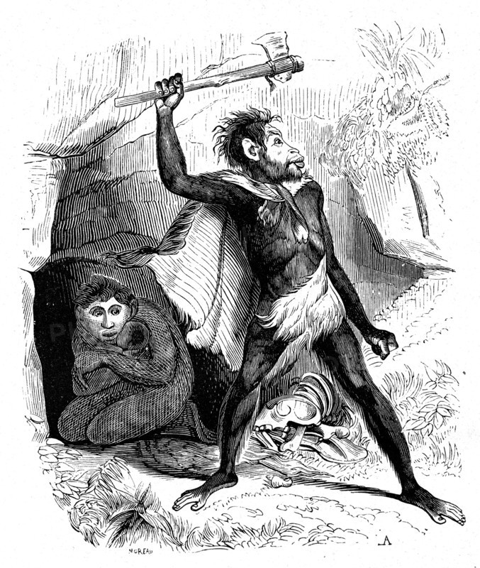 The fossil man. from artwork " The universe before mankind " by M. Boitard 
Paris 1863                       ( L'Univers avant l' homme )