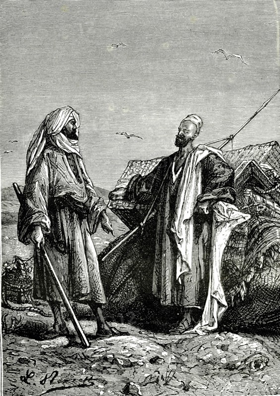 A tomb near the Nile cataracts, Egypt. " Travellers from XIXth century, by Ju-
les Verne. 1880                 Design by Leon Benett