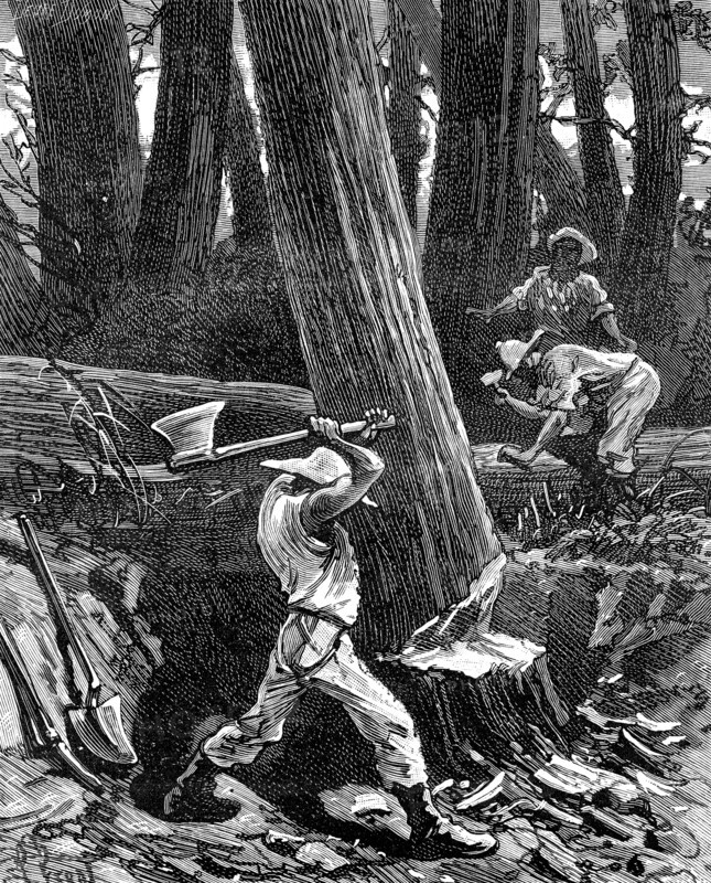 Natives working in the rubber forest in Brazil