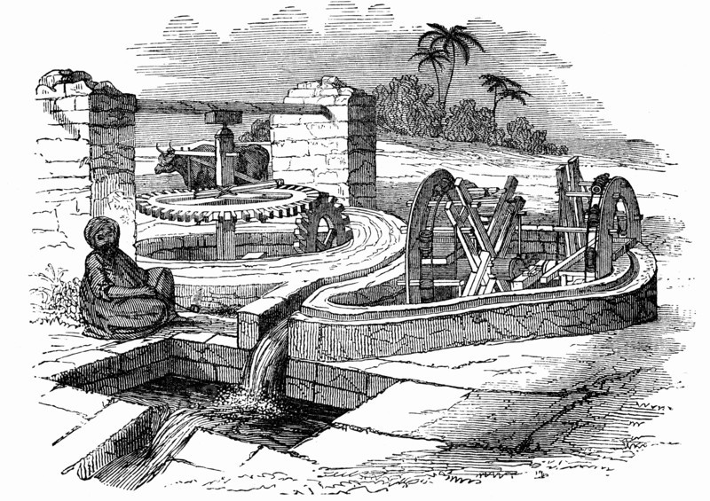 Système d'irrigation en Egypte