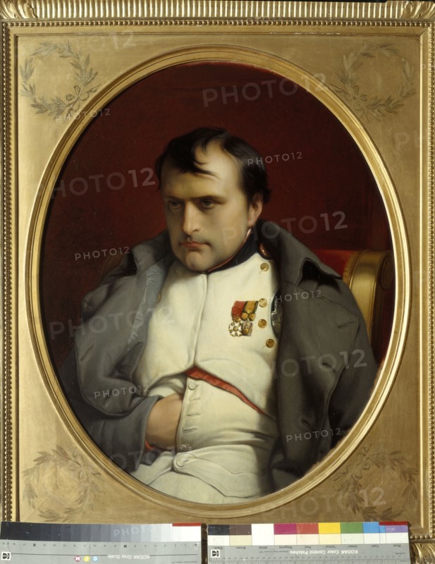 Delaroche, Napoleon after his farewell speech at Fontainebleau