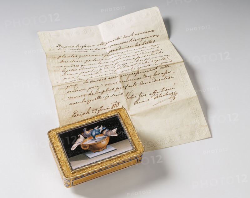Box decorated with a mosaic: doves, accompanied by a ticket from Prince Esterhazy to André Thouin dating from 1810