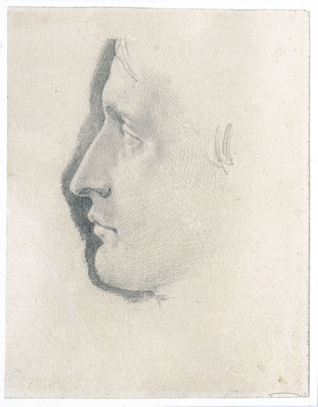 Anonymous, Profile study of Napoleon