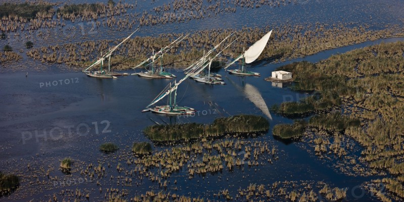 Delta du Nil