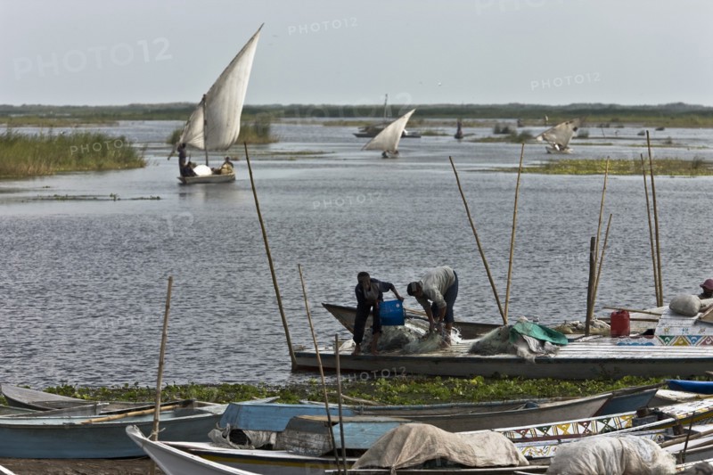 Pêcheurs du delta du Nil