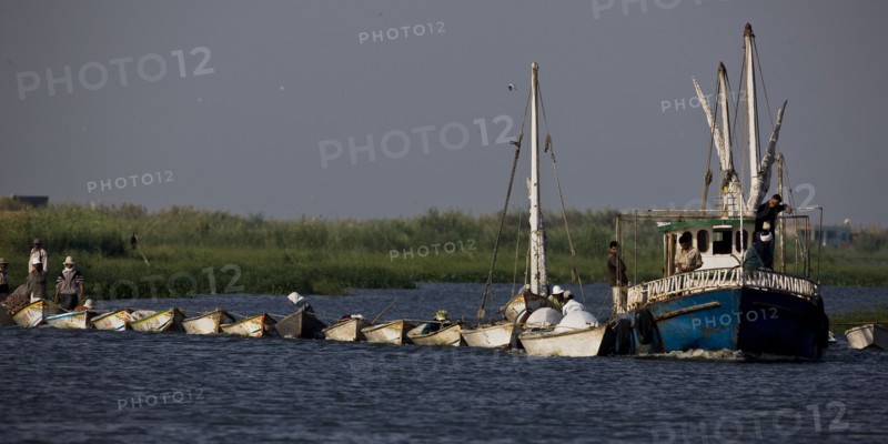 Pêcheurs du delta du Nil