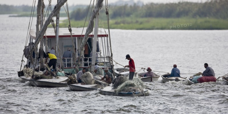 Pêcheurs du delta du Nil