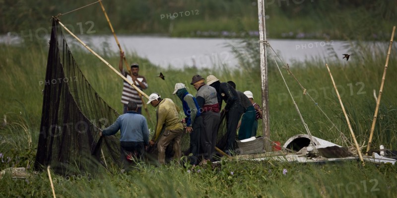 Pêcheurs du delta du Nil